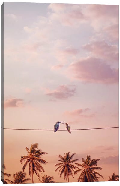 Hummingbirds In Love Canvas Art Print - Birds On A Wire