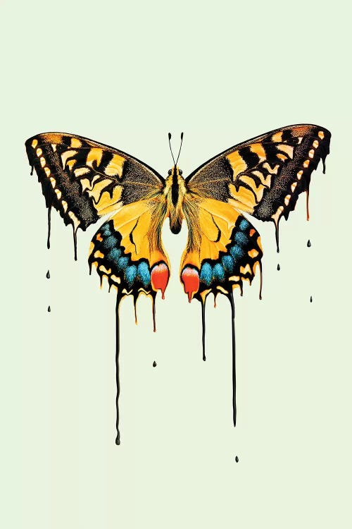 Melting Butterfly