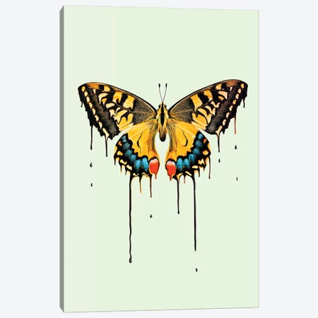 Melting Butterfly Canvas Print #LOO72} by Jonas Loose Canvas Art