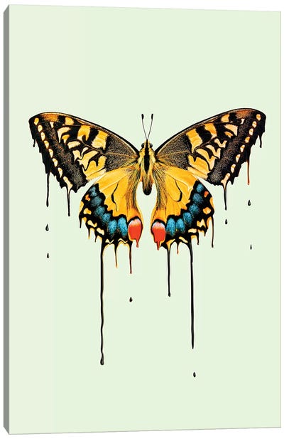 Melting Butterfly Canvas Art Print - Jonas Loose