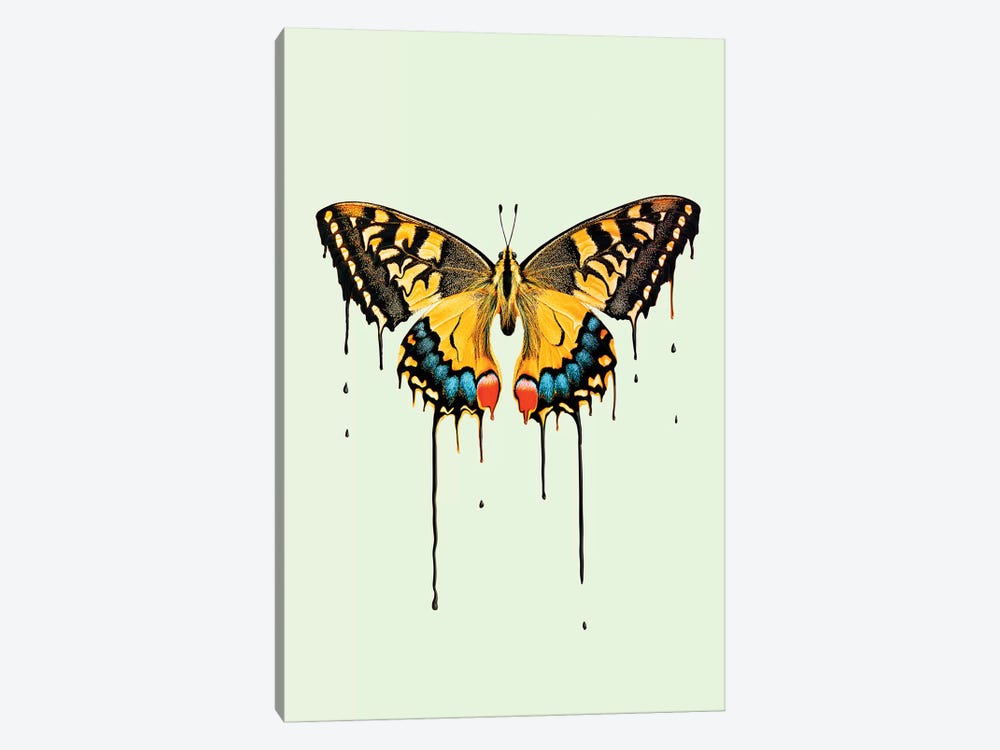Melting Butterfly by Jonas Loose 1-piece Canvas Wall Art