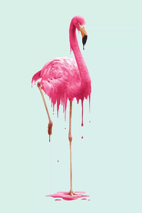 Melting Flamingo