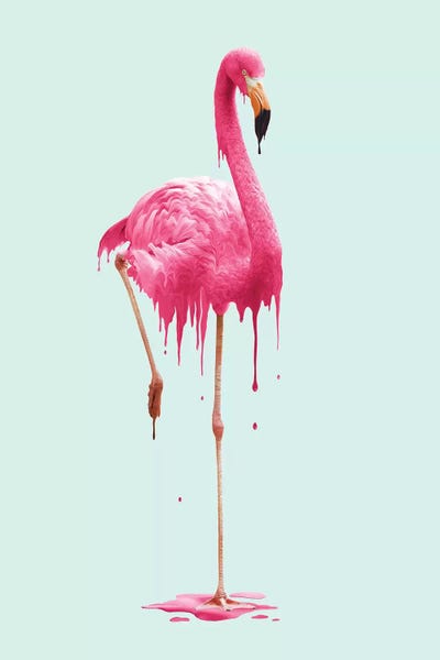 Flamingos: Melting Flamingo by Jonas Loose