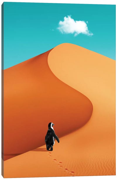 Penguin On Vacation Canvas Art Print - Desert Landscape Photography