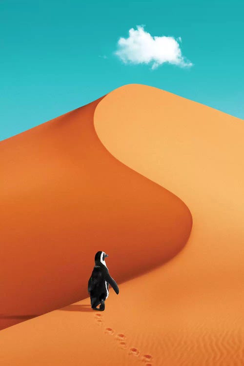 Penguin On Vacation