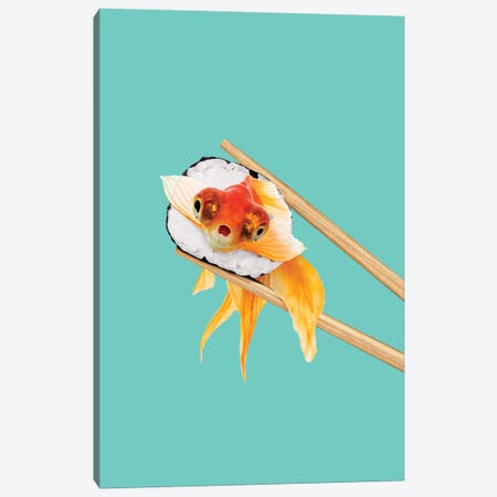 Sushi Goldfish Canvas Print #LOO79} by Jonas Loose Canvas Art
