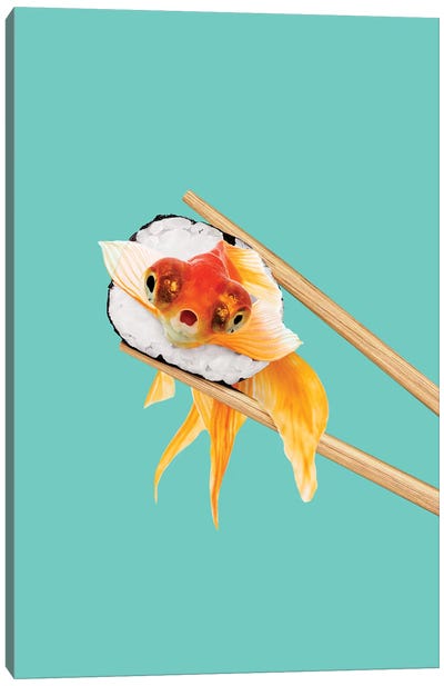 Sushi Goldfish Canvas Art Print - Goldfish Art