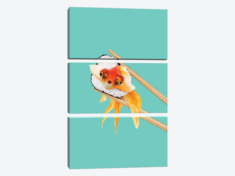 Sushi Goldfish by Jonas Loose 3-piece Canvas Print