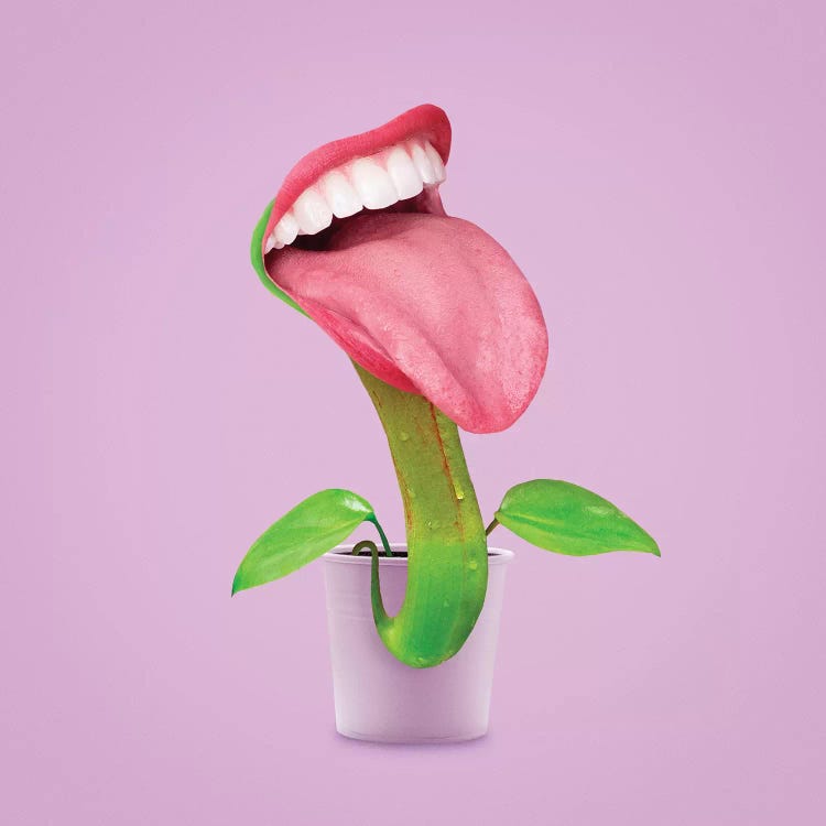 Carnivorous Plant by Jonas Loose wall art