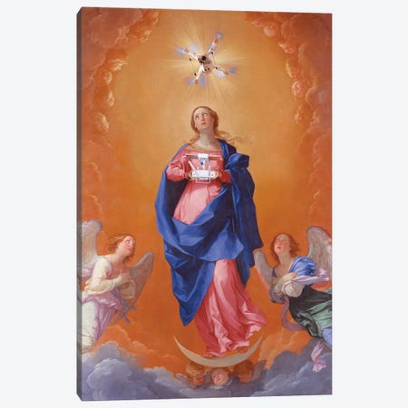 The Holy Drone Canvas Print #LOO84} by Jonas Loose Canvas Art