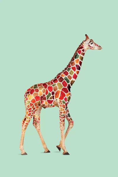 Colored Giraffe by Jonas Loose multi panel art