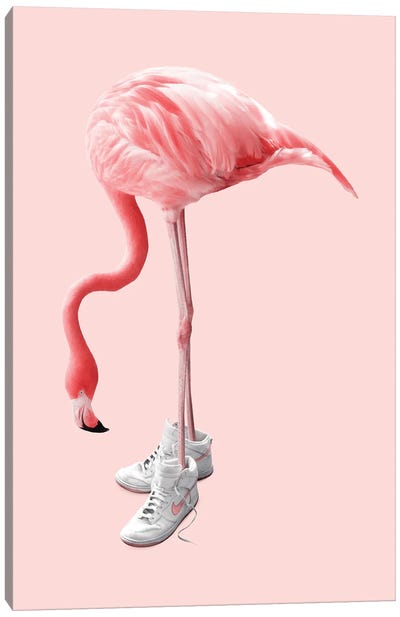 Sneaker Flamingo Canvas Art Print - Fashion Art