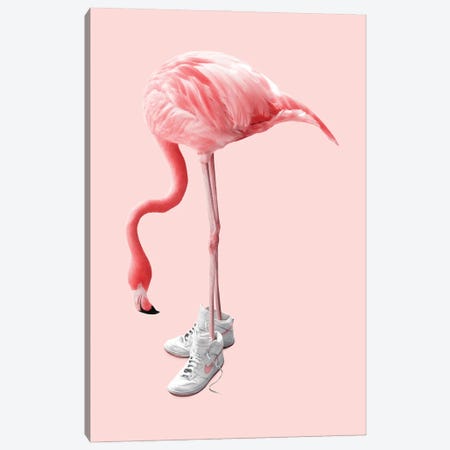 Sneaker Flamingo Canvas Print #LOO90} by Jonas Loose Canvas Art