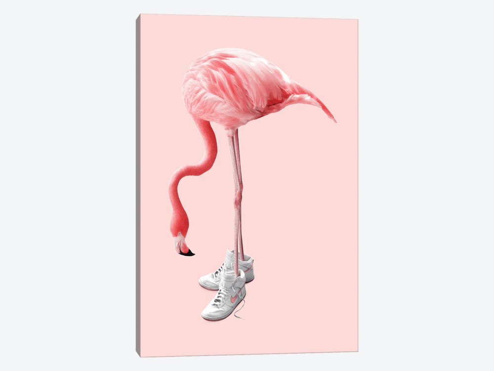 Sneaker Flamingo by Jonas Loose 1-piece Canvas Art