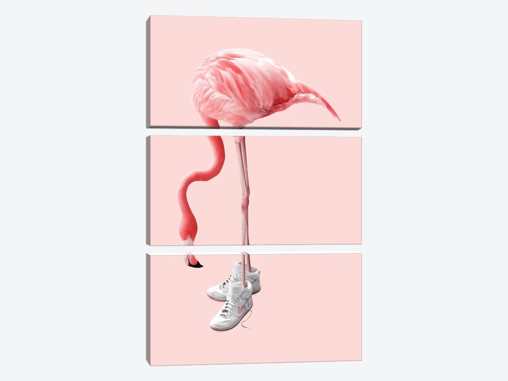 Sneaker Flamingo by Jonas Loose 3-piece Canvas Art