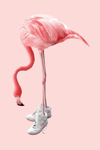 Large Photography - Canvas Prints: Sneaker Flamingo by Jonas Loose