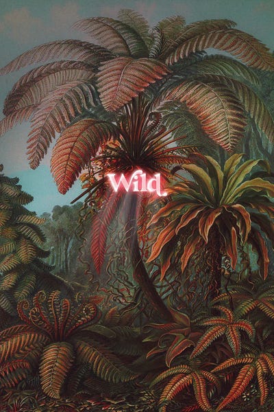 Neon Typography: Wild by Jonas Loose