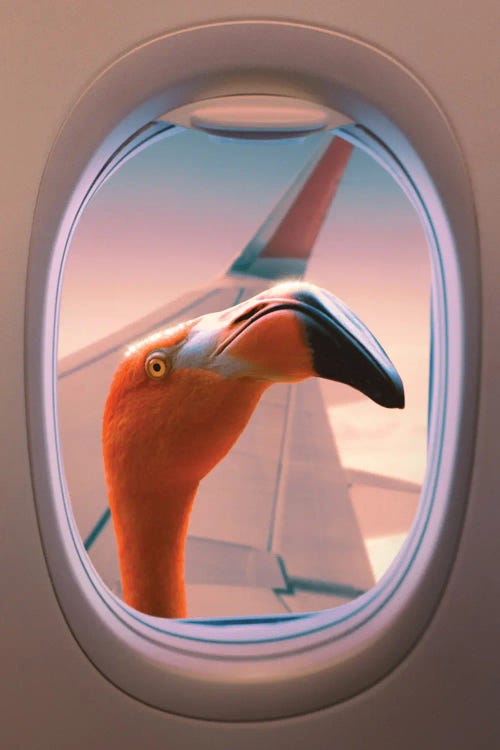 Stowaway by Jonas Loose wall art