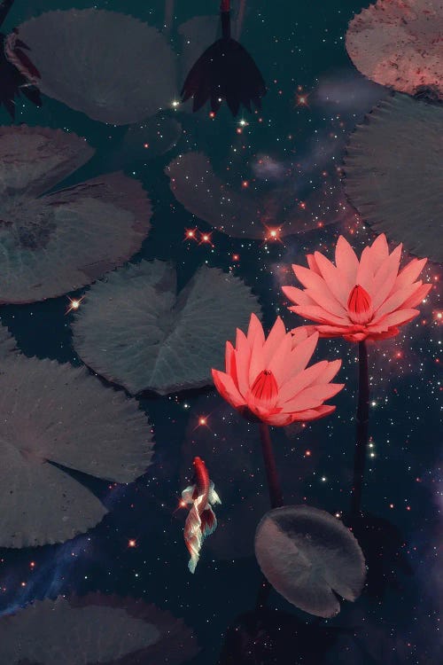Swimming through Space by Jonas Loose wall art