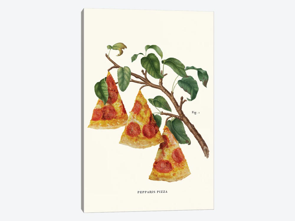 Pizza Plant by Jonas Loose 1-piece Art Print