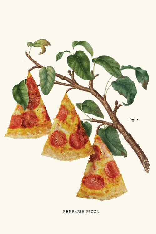 Pizza Plant by Jonas Loose canvas print