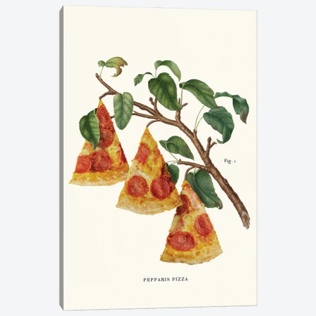 Pizza Plant Canvas Print #LOO99} by Jonas Loose Canvas Artwork