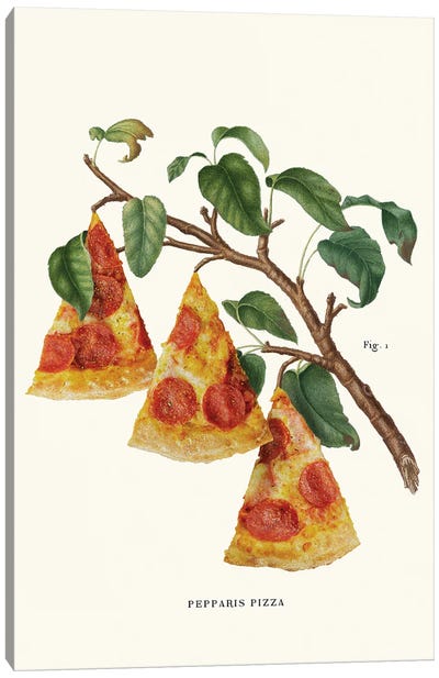 Pizza Plant Canvas Art Print - Conversation Starters
