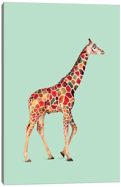 Colored Giraffe Canvas Art Print - Jonas Loose