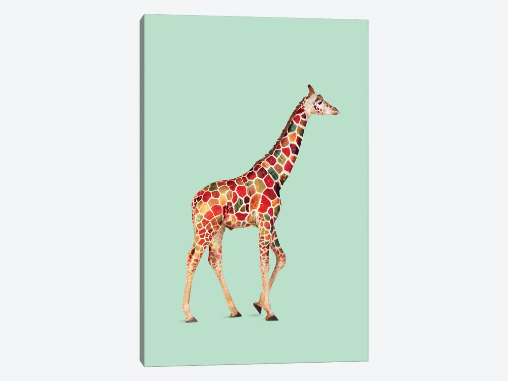 Colored Giraffe 1-piece Canvas Wall Art