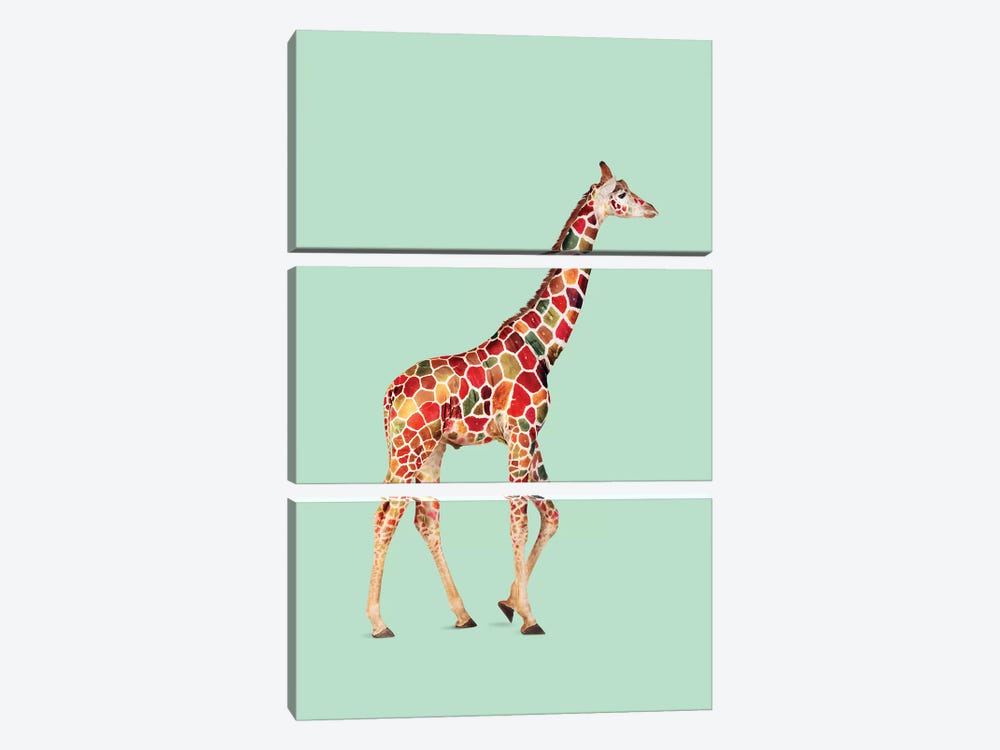 Colored Giraffe 3-piece Canvas Artwork