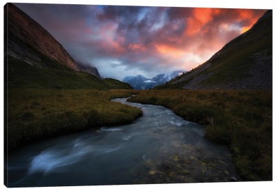 Go With The Flow Canvas Art Print - Laura Oppelt