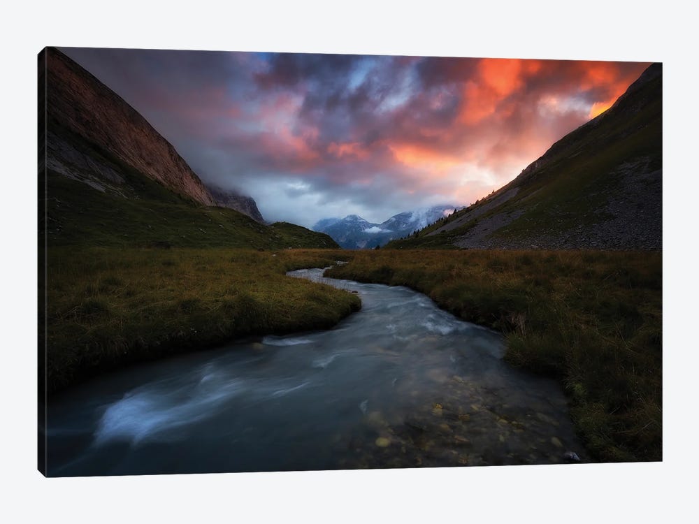 Go With The Flow by Laura Oppelt 1-piece Canvas Print