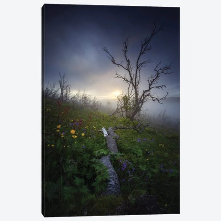 Haunted Hills Canvas Print #LOP28} by Laura Oppelt Canvas Wall Art