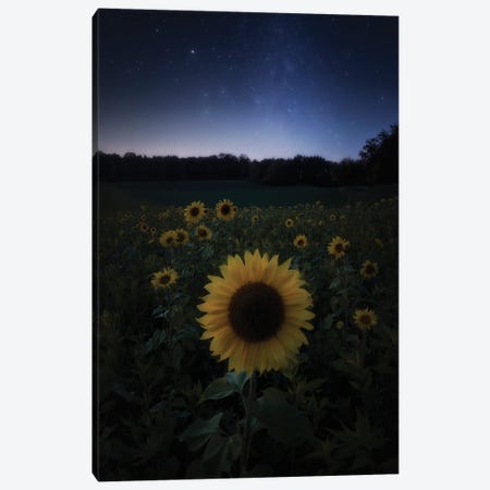 Sun Under Stars Canvas Print #LOP2} by Laura Oppelt Canvas Print