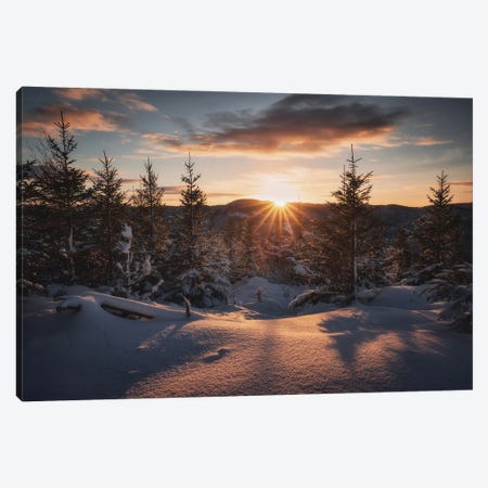 A Nordic Winter Tale Canvas Print #LOP51} by Laura Oppelt Art Print