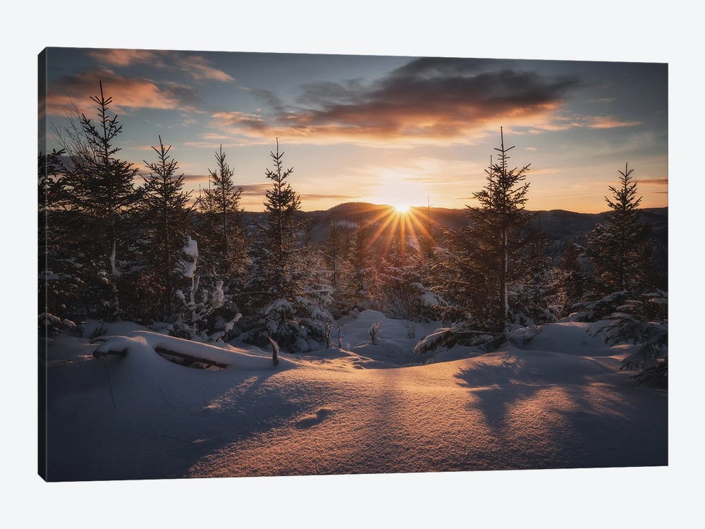 A Nordic Winter Tale by Laura Oppelt 1-piece Canvas Artwork