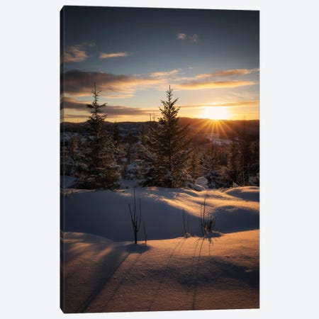 Warmth In Winter Canvas Print #LOP52} by Laura Oppelt Canvas Print