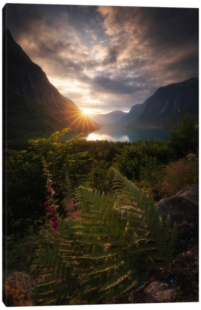 The Traces Of Light Canvas Art Print - Norway Art