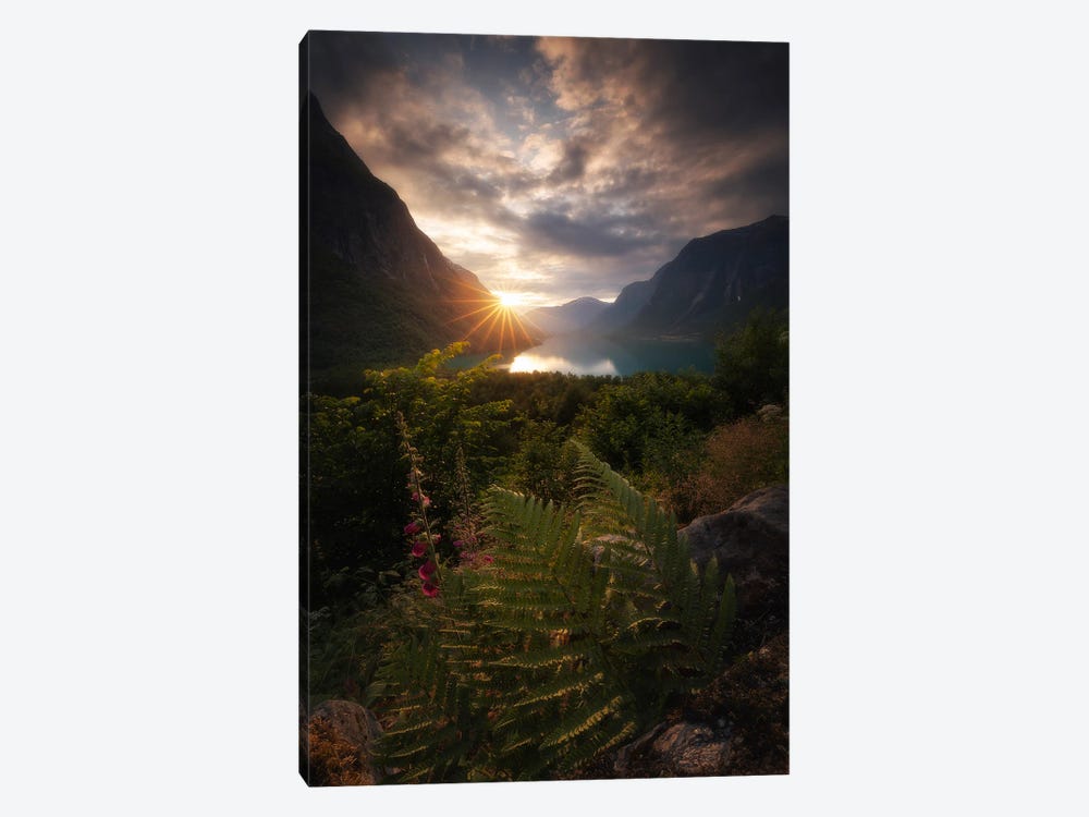 The Traces Of Light by Laura Oppelt 1-piece Canvas Print