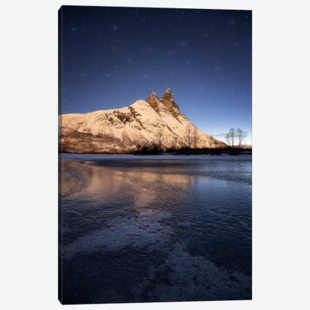 Moonshine And The Stars Canvas Print #LOP96} by Laura Oppelt Canvas Wall Art