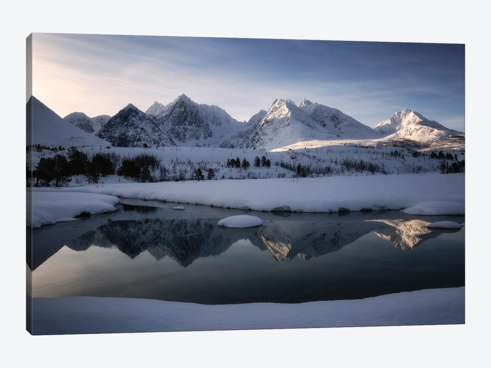 Winter Symphony by Laura Oppelt 1-piece Canvas Wall Art