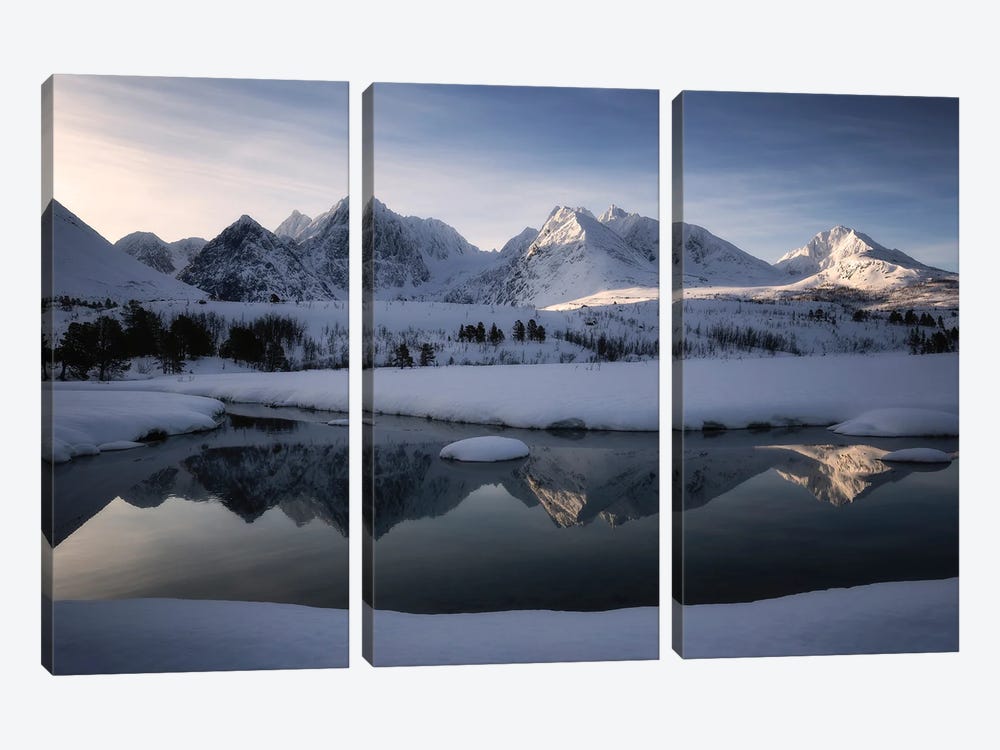 Winter Symphony by Laura Oppelt 3-piece Canvas Artwork