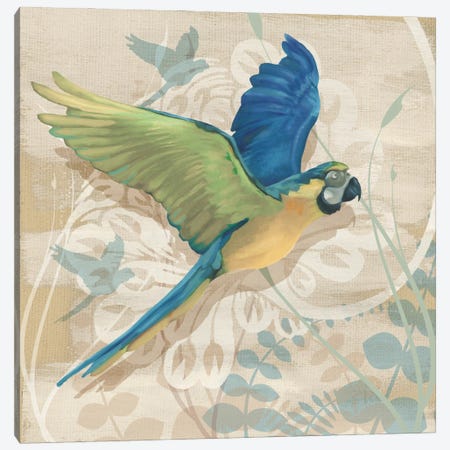 Parrot Society I Canvas Print #LOU7} by Louise Montillio Canvas Print