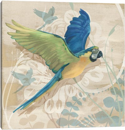 Parrot Society I Canvas Art Print