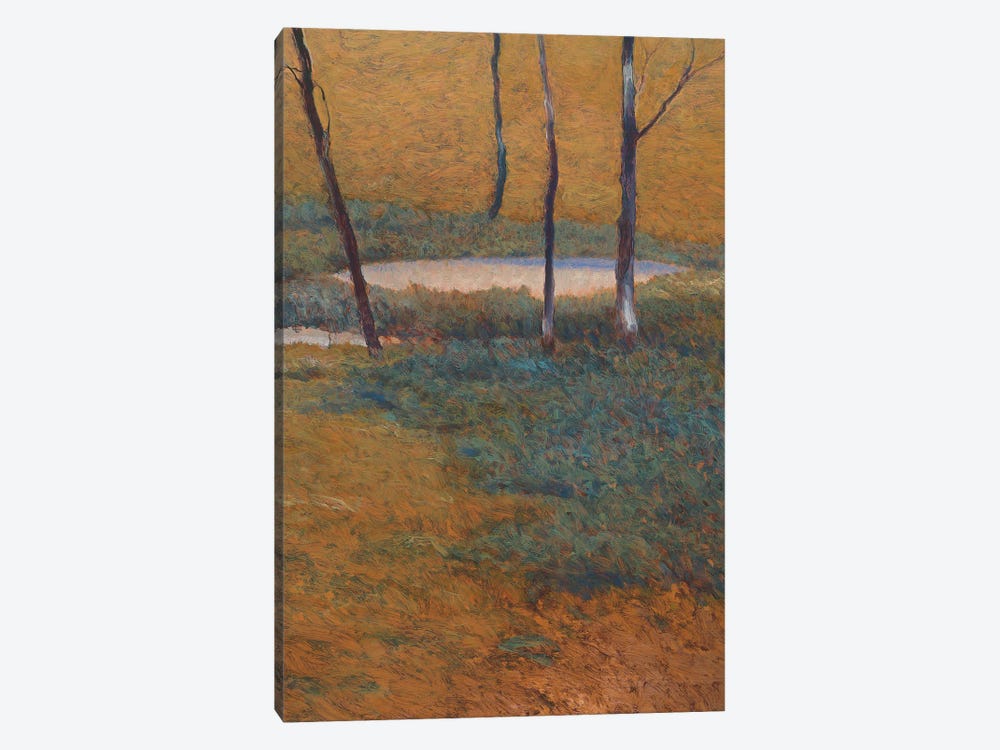 Island Pond 1-piece Canvas Art Print
