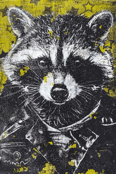 Raccoons: Starry Flair And Leather Dare by Sharlene Loomis