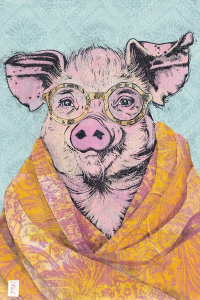 Pigs: Pig In A Cashmere Shawl by Sharlene Loomis