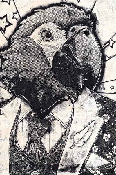 Feathers: Polly-tician by Sharlene Loomis