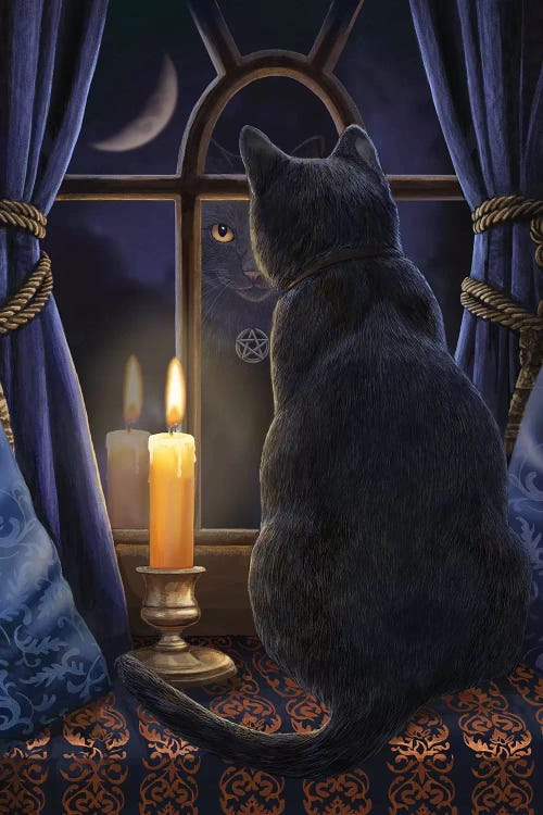 Midnight Vigil by Lisa Parker wall art