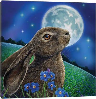 Moon Gazer Canvas Art Print - Rabbit Art